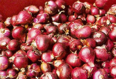 Bawang Merah di Madina Rp60 Ribu/Kg